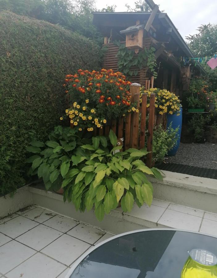 Ferienwohnung Grete Trier Exterior foto